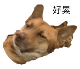 568290901