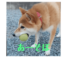 568291280