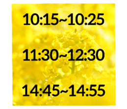 568327151