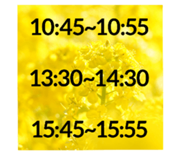 568327153