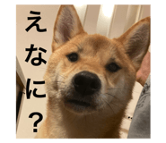 568347254