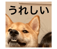 568347255