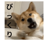 568347257