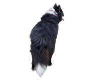 568347630