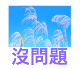 568370197
