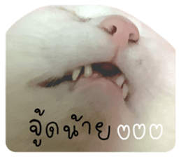 568430542