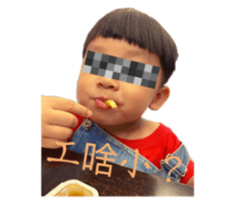 568437977