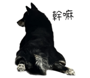 568438190