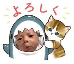 568445450