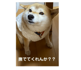 568449397