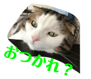 568450290