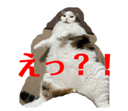 568450299