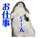 568450304