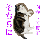 568450305