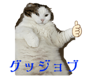 568450308
