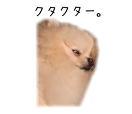 56847684