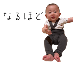 568487686