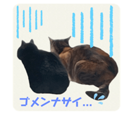568489900