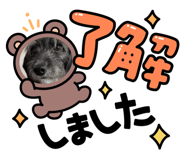 568490360