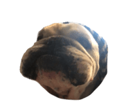 568507389
