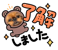 568514851