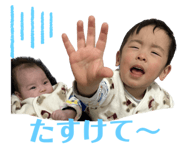 568525272