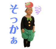 568525282