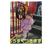 568549506
