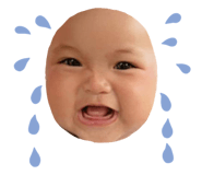 568550453