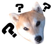 568560307