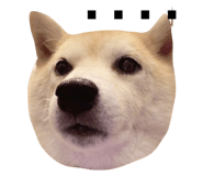 568560320