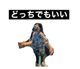 568620603