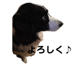 568653919