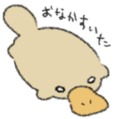 568655594