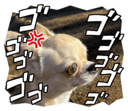 568715266
