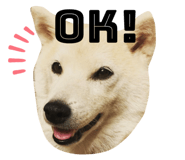 568741535
