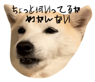 568741540