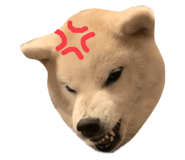 568741549