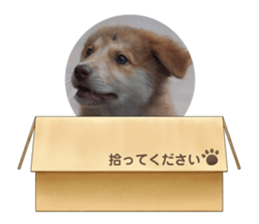 568747791