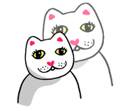 568769144