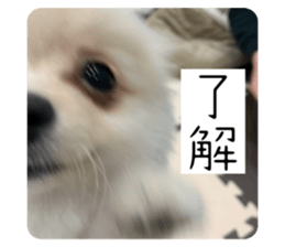 568772665