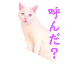 568774836
