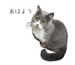 568776726