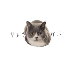 568776734