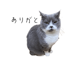 568776740