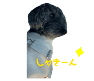 568779162