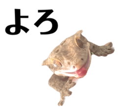 568809202