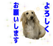 568882712