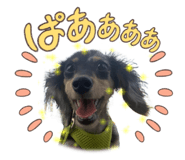 568882725
