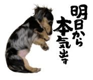 568882727